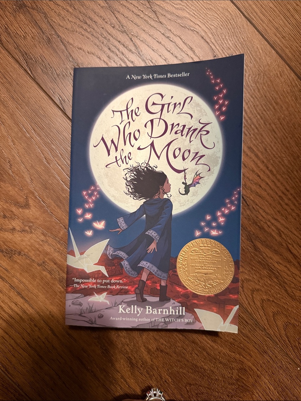 The Girl Who Drank the Moon — Illustrated Blue Cover